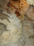 Rszlet a barlangbl
