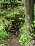 A barlang az trl