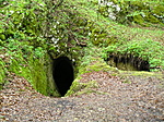 A barlang bejrata