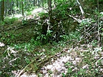 A barlang s krnyke