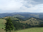 Pognytet