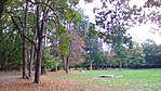 Csod�latos park