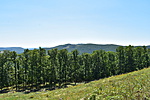 Kis-Toponyik-Nagy-Som-Berek