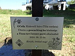 F�t is �ltett�nk