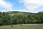 Kutya-hegy
