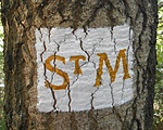 STM jelzse