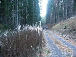 Ut Lubenovac felé Ut Lubenovac felé