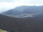 Panoráma
