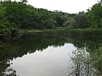 Jági tó