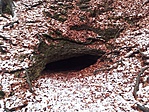 Savanyó Jóska barlang