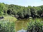Szalamandra tó