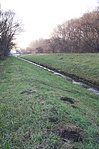 Patak