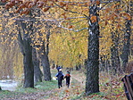A fiúk elrajtoltak