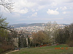 Panoráma