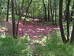 A pocsolya