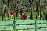 Korvinék közelednek