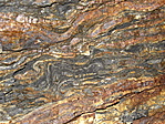 A fal rajzolata