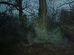 Sejtelmes köd