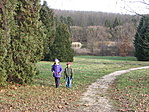 Közel