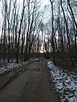 IMG_20171206_115453