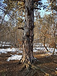 2018-02-25 15.55.04R