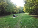 IMG_20181007_123944