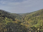 IMG_20181007_141501
