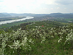 Verőce