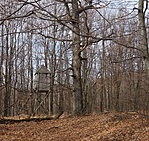 Zárt les.
