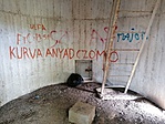Kitört a kultúra